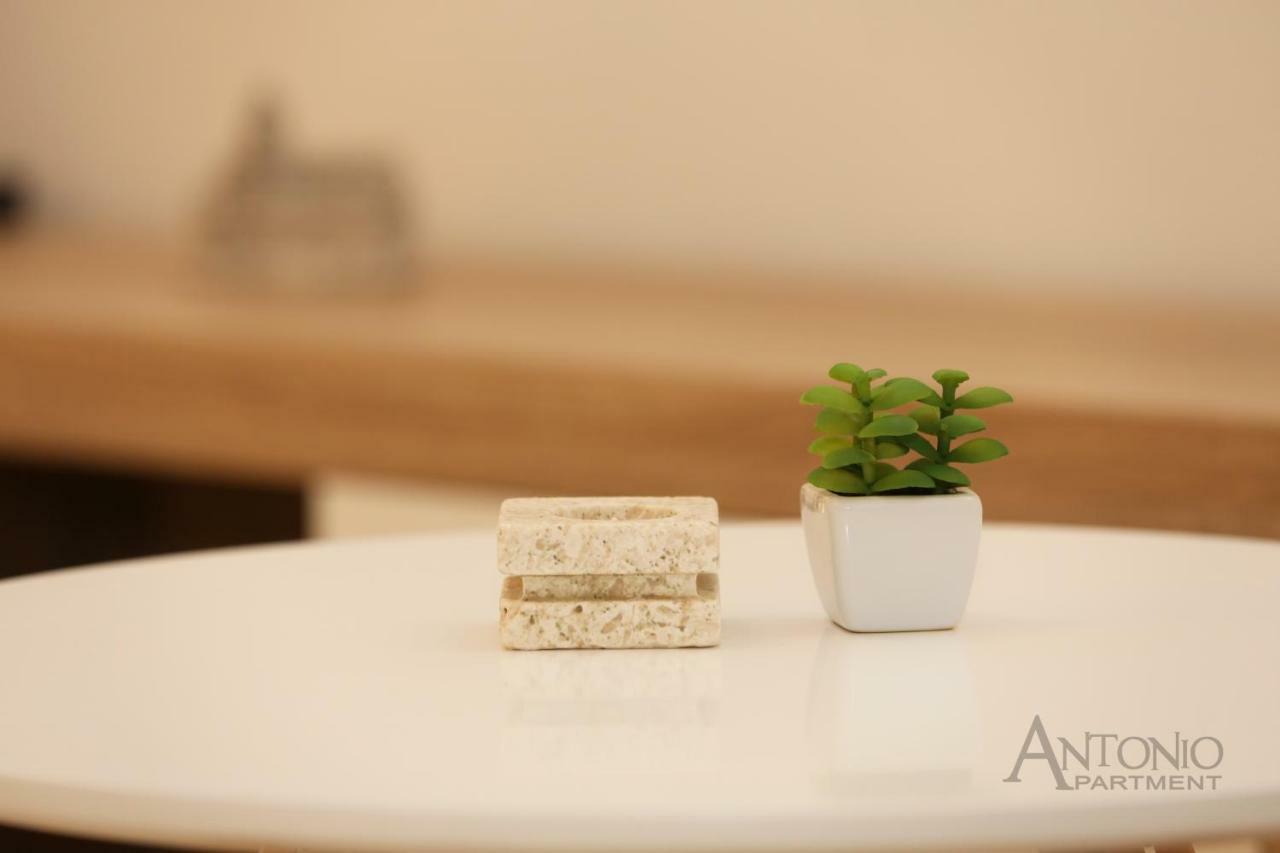 Apartament Antonio Szybenik Zewnętrze zdjęcie
